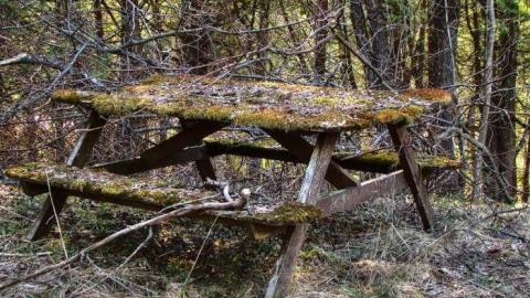 Redrum Murder - 7a.jpg