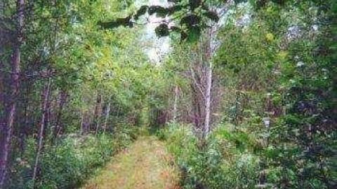 Burwash Reunion 2002 - Burwash-Correctional-Prison108.jpg