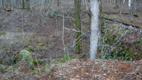 Maps and Rivers property - Peterson-Corners-(ghost-town)11.jpg