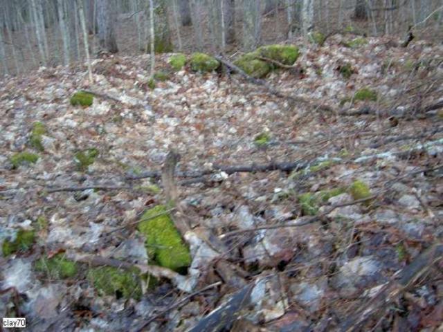 Peterson Corners (ghost town) photo 5