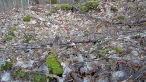 Maps and Rivers property - Peterson-Corners-(ghost-town)13.jpg