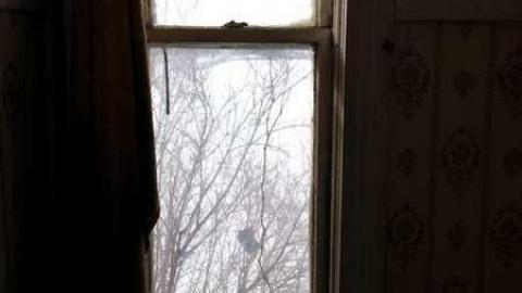 Photo from Feb. 2013