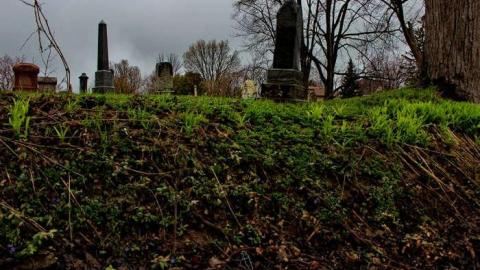 Mitchell's Past - Trinity-Pioneer-Cemetery41.jpg