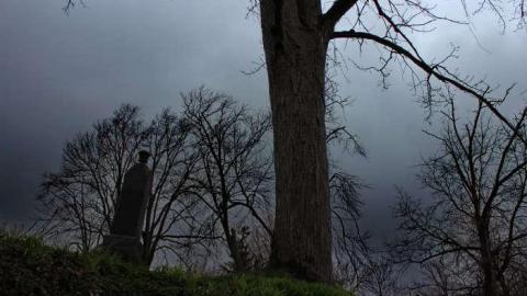 Mitchell's Past - Trinity-Pioneer-Cemetery7.jpg