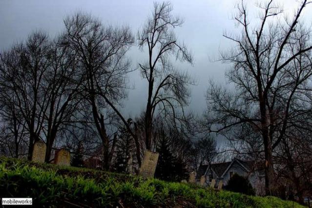 Trinity Pioneer Cemetery photo 3