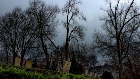 Mitchell's Past - Trinity-Pioneer-Cemetery42.jpg