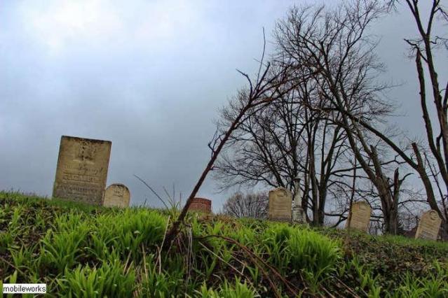 Trinity Pioneer Cemetery photo 2