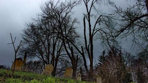 Mitchell's Past - Trinity-Pioneer-Cemetery43.jpg