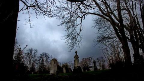 Mitchell's Past - Trinity-Pioneer-Cemetery16.jpg