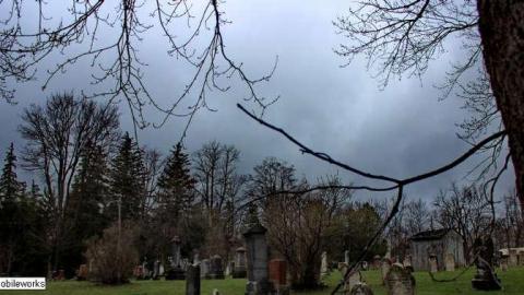 Mitchell's Past - Trinity-Pioneer-Cemetery29.jpg