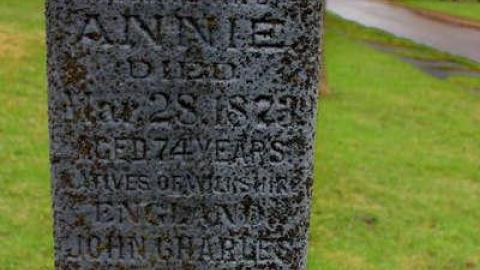 Mitchell's Past - Trinity-Pioneer-Cemetery30.jpg