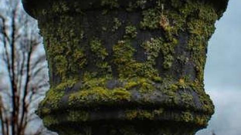 Mitchell's Past - Trinity-Pioneer-Cemetery48.jpg