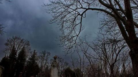 Mitchell's Past - Trinity-Pioneer-Cemetery19.jpg