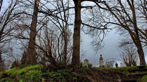 Mitchell's Past - Trinity-Pioneer-Cemetery20.jpg