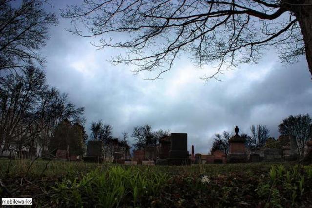 Trinity Pioneer Cemetery photo 2