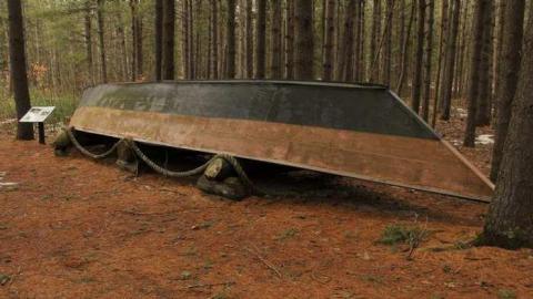 Photo from Fort Willow Spring 2014