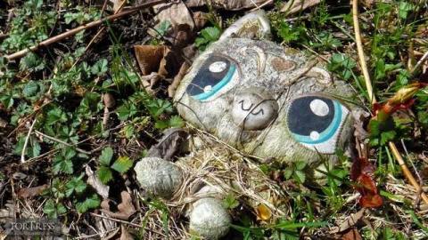 Voorheesville 05/14 - Tall-Red-on-8678.jpg