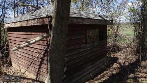 Voorheesville 05/14 - Tall-Red-on-8626.jpg