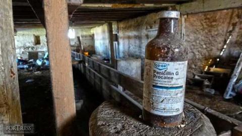 Voorheesville 05/14 - Tall-Red-on-8681.jpg