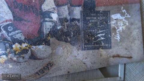 Voorheesville 05/14 - Tall-Red-on-8631.jpg