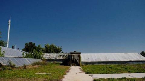 R.I.P. - Ross-Flowers-Garden-Centre35.jpg