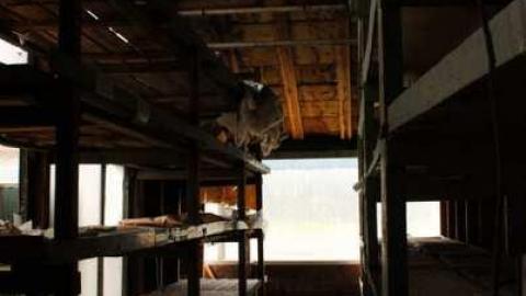 R.I.P. - Ross-Flowers-Garden-Centre36.jpg