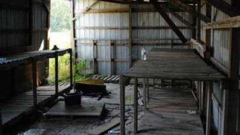 R.I.P. - Ross-Flowers-Garden-Centre38.jpg