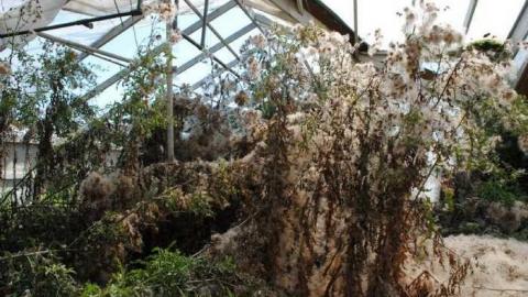 R.I.P. - Ross-Flowers-Garden-Centre39.jpg