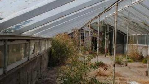 R.I.P. - Ross-Flowers-Garden-Centre40.jpg