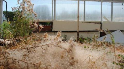 R.I.P. - Ross-Flowers-Garden-Centre41.jpg