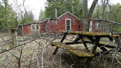 Ghost Horsey - DSCN5528.jpg