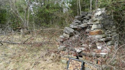 Ghost Horsey - DSCN5534.jpg