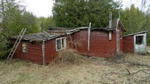 Ghost Horsey - DSCN5552.jpg