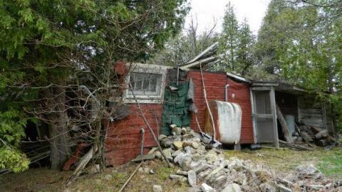 Ghost Horsey - DSCN5653.jpg