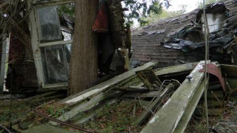 Ghost Horsey - DSCN5699.jpg