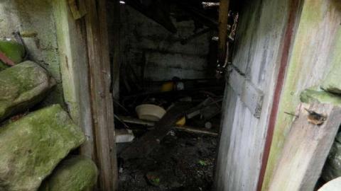 Ghost Horsey - DSCN5719.jpg