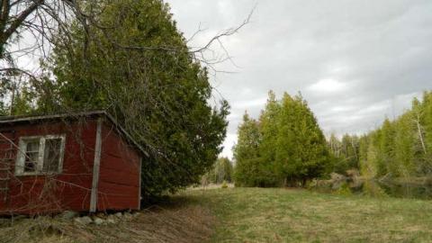 Ghost Horsey - DSCN5767.jpg