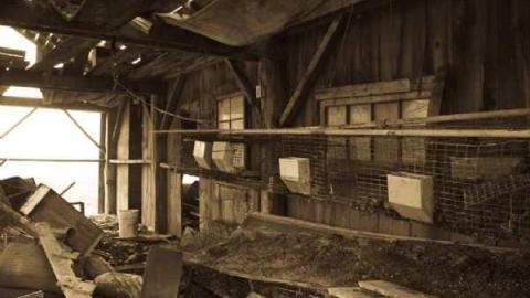 Woodstock 1940's House photo 3