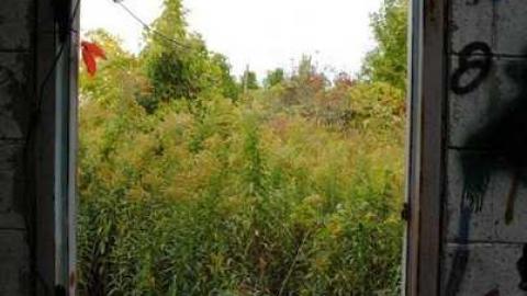 Photo from Ghost Road