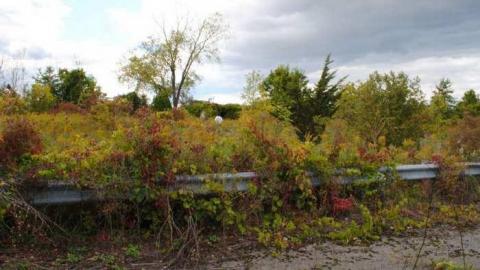 Ghost Road - Windsor-Dragway54.jpg