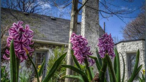 Loyalists Fading - Lime-Kiln-of-the-Loyalists13.jpg