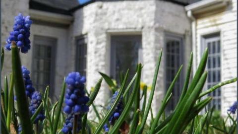 Loyalists Fading - Lime-Kiln-of-the-Loyalists14.jpg