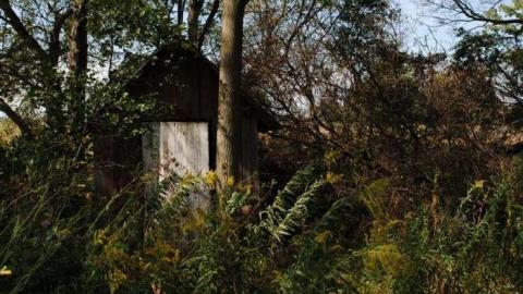 Photo from Little Highway 40 House