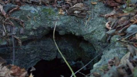 Twyn Rivers - Rouge-River6.jpg