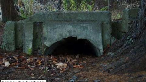 Twyn Rivers - Rouge-River8.jpg