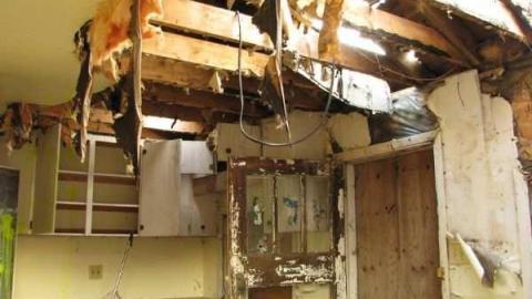 Lapp Farmhouse - The-Lapp-House71.jpg