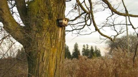 The Lapp House photo 2