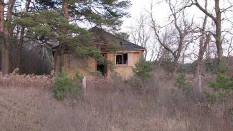 Vivian House photo 4