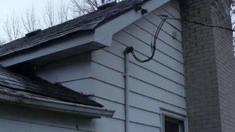 Photo from Bungalow basics