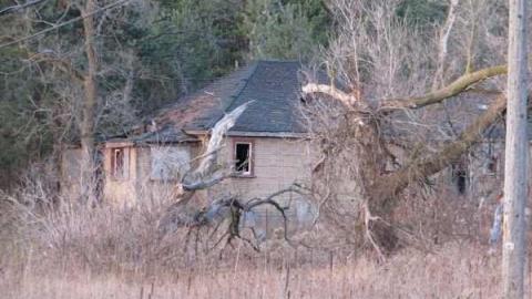 Vivian House photo 5